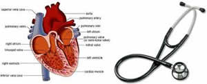 Cardiología